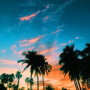 Meet your Posher, Mia